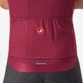 Herren Trofeo Giro d'Italia 2024 Trikot-Bordeaux