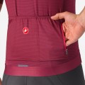 Herren Trofeo Giro d'Italia 2024 Trikot-Bordeaux