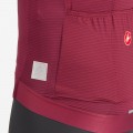 Herren Trofeo Giro d'Italia 2024 Trikot-Bordeaux