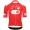 Herren Q36.5 Tour de Suisse 2024 Gregarius Pro trikot-Climber