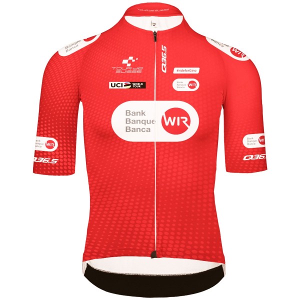 Herren Q36.5 Tour de Suisse 2024 Gregarius Pro trikot-Climber Herren Q36.5 Tour de Suisse 2024 Gregarius Pro trikot-Climber
