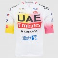 Herren Pissei Team UAE 2024 trikot-Giro e Tour