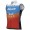 Herren Ale Team Jayco Alula 2024 wind weste