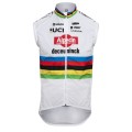 Herren Kalas Alpecin Deceuninck 2024 Weste-WC Herren Kalas Alpecin Deceuninck 2024 Weste-WC