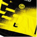 Herren Team Visma Lease a bike 2025 The Wingbeat trikot-Wout Van Aert Herren Team Visma Lease a bike 2025 The Wingbeat trikot-Wout Van Aert