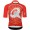 Herren Q36.5 Gregarius Clima Dolomites Extreme trikot-Rot